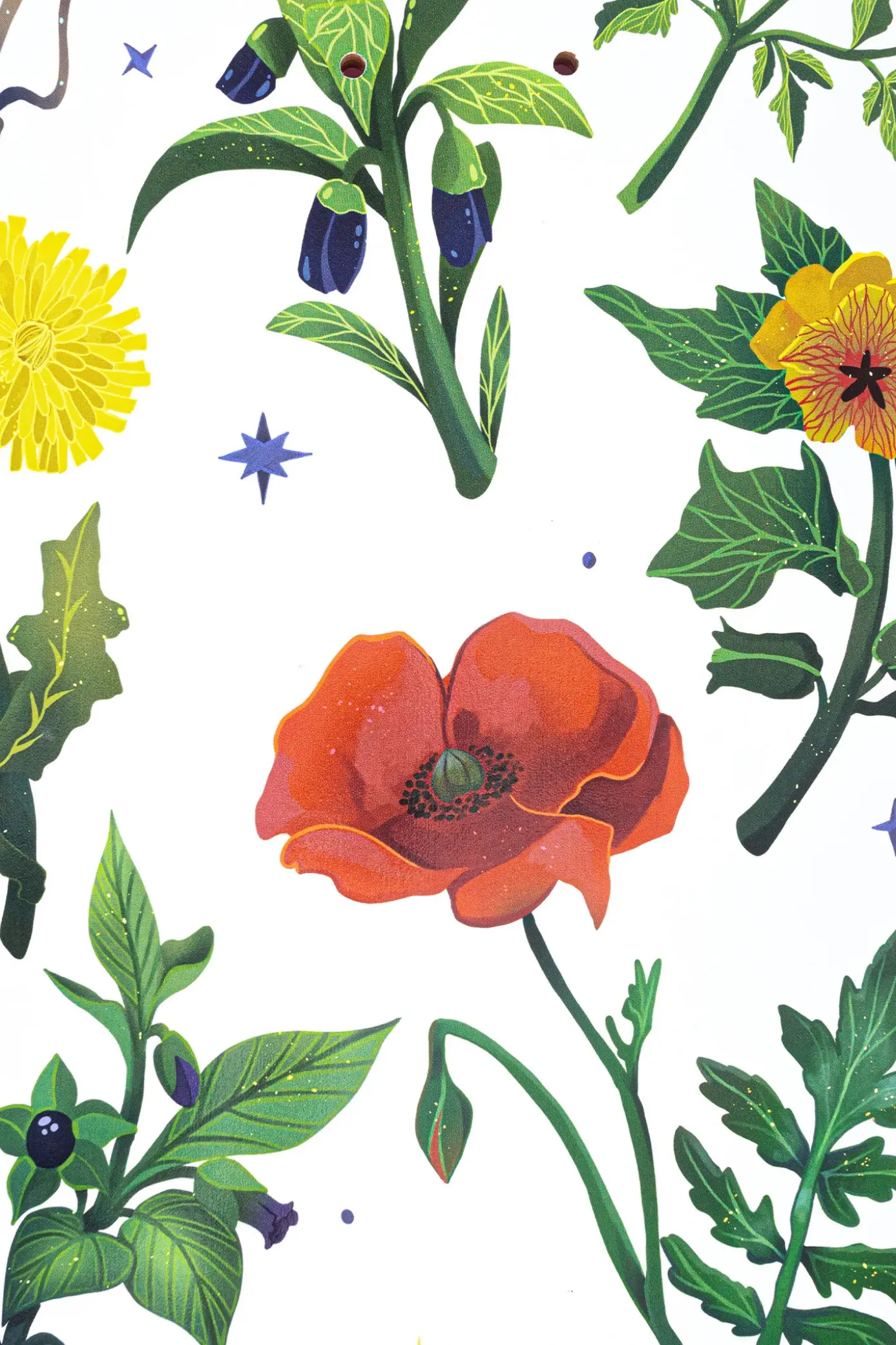 Online Blat Herbarium Blaty Do Deskorolki