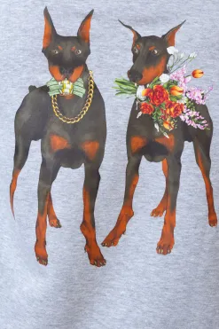 Bluza Z Kapturem DOBER$$$ Bluzy Z Kapturem