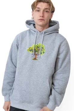 Bluza Z Kapturem Lemon Tree Bluzy Z Kapturem