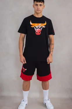 New Koszulka New Era Chicago Bulls NBA Sky T-shirty