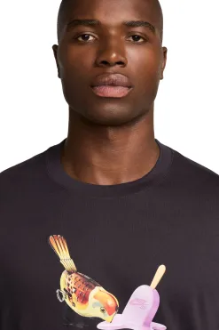 Outlet Koszulka SB Max90 Ice Cream T-shirty