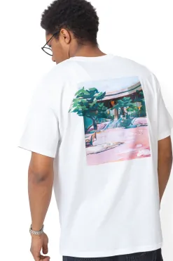 Koszulka SB Max90 Skate Brooklyn Banks T-shirty