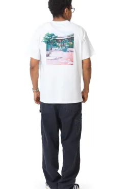 Koszulka SB Max90 Skate Brooklyn Banks T-shirty