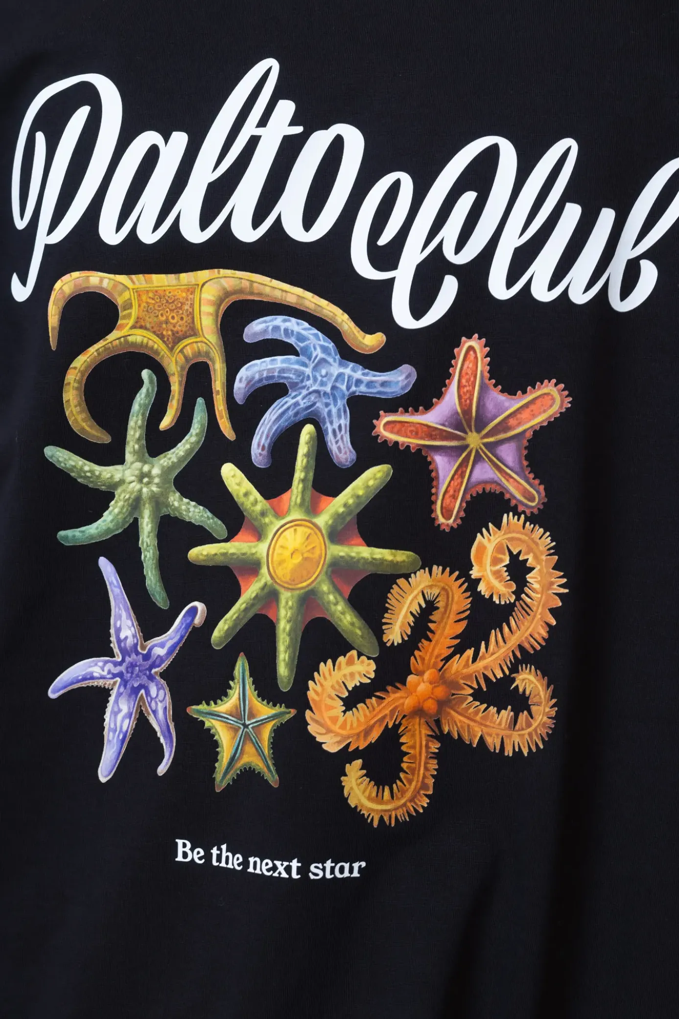 Online Koszulka Nautica T-shirty