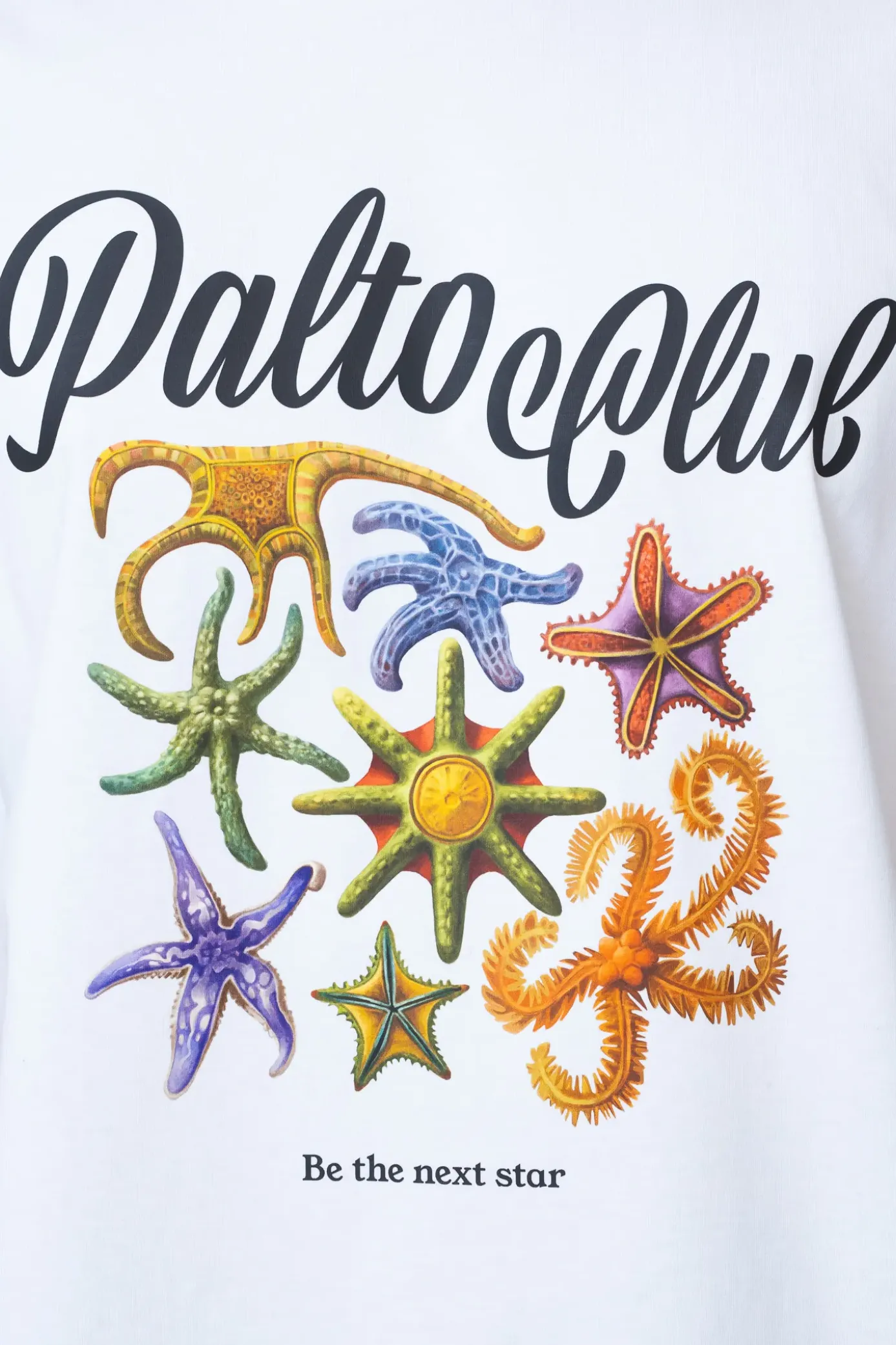 Discount Koszulka Nautica T-shirty
