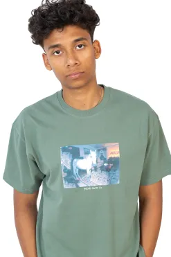 Outlet Koszulka Polar Horse Dream T-shirty