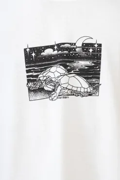 Clearance Koszulka Polar Turtle Town T-shirty