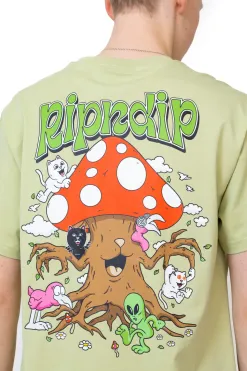 Clearance Koszulka Playground T-shirty