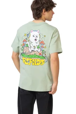 Koszulka Shroom Song T-shirty